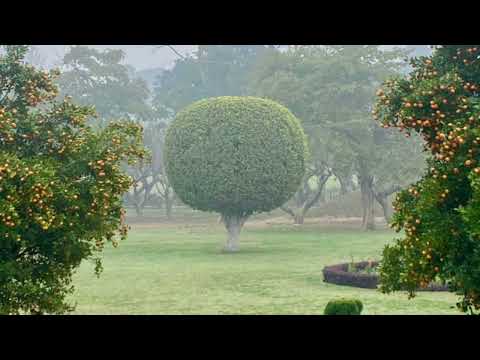 NIMESITIRIKA/ ZENA MUHAMMED #taarabmusic #taarabsongs @Mizikiyote