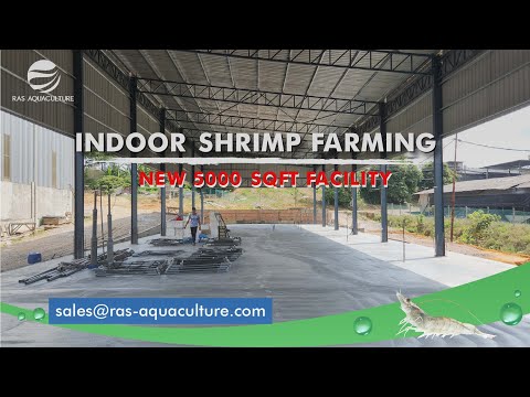 , title : 'Setting up our new Indoor Shrimp Farm 100km from the Coast | Zero Water Exchange Shrimp Aquaculture'