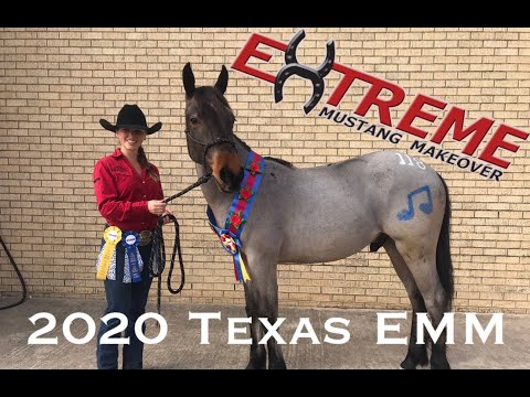 Extreme Mustang Makeover 2020 - Fort Worth, Texas