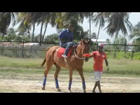Guyanese champion jockey aims to maintain his winning ways