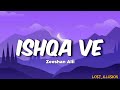 Zeeshan Ali Ishqa Ve Chadeya Lyrics Ishqa Ve Chadeya Tu Kakh Da Ni Sanu Trendingsong Viral