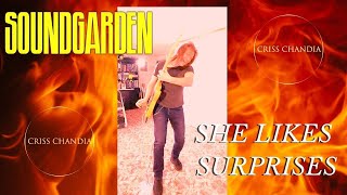 She Likes Surprises / Soundgarden - Criss Chandia / Guitar Cover 20-04-2021