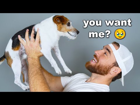 I Adopted a Dog Who Was Forgotten