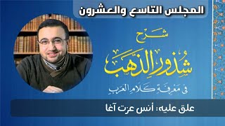 صورة المجلس التاسع والعشرون من شرح شذور الذهب - أنس عزت آغا