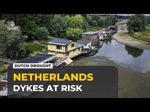 Netherlands drought threatens dykes as greenhouse industry faces irrigation ban