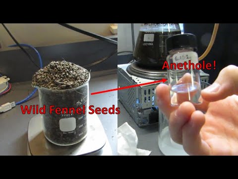 How to Isolate Anethole (Licorice Flavour)