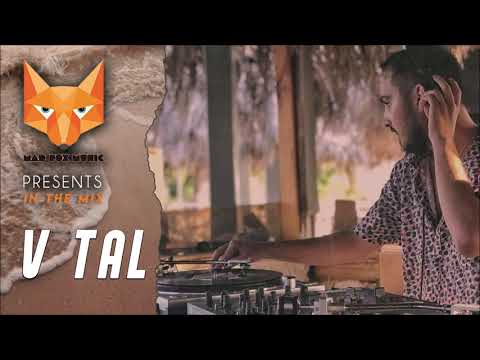 Mad Fox Music Presents - V Tal