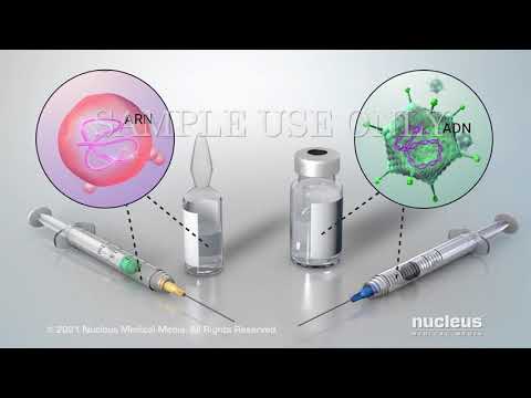 Inmunización: Cómo funcionan las vacunas