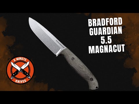 The Best Fixed Blade of 2025? 🔥