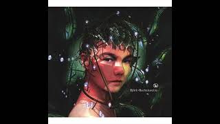 Bjork - Bachelorette ending accordion accordéon (looped)