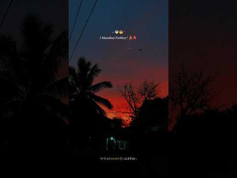 𝅘𝅥𝅯 Pesum Mazhaya Kanavil kalaindhay!! 😩👀 @lazy_queen_82 WhatsApp Status Video Song 📹🥹 #love #sad