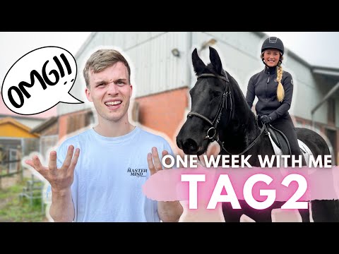 TOM KOMMENTIERT meinen Stalltag!