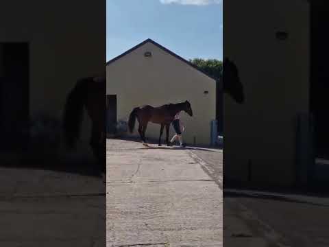 Video 1