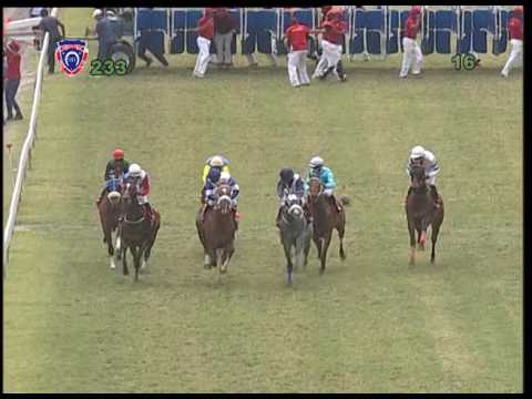 23rd MEETING 2016 - THE AIR MAURITIUS MAIDEN CUP 2016