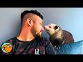 Man Brings Home A Rescue Opossum They Become BFFs Cuddle Buddies