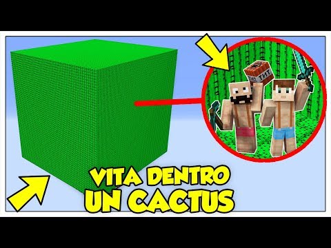 SI PUÒ SOPRAVVIVERE IN UN CUBO DI CACTUS? - Minecraft ITA