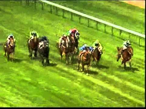 Fastnet Rock Stallion Preview