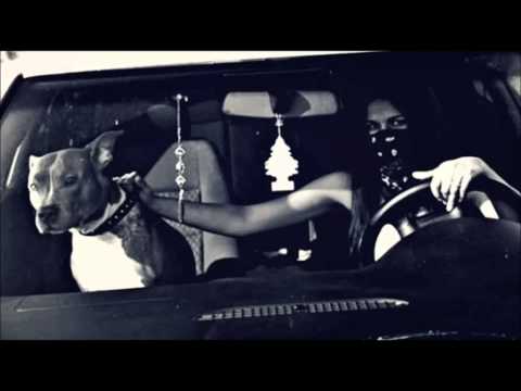 Gorilla Zoe – LA DA DE ♫