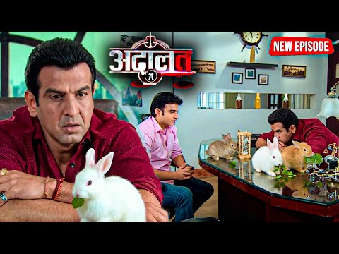 जब पत्ते खाते खरगोश ने KD पाठक को दिया केस सुलझाने का आईडिया! | Adaalat | New Episode 2025