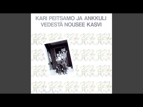 Aurinko - Kari Peitsamo