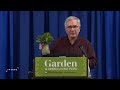 Indoor Gardening For Food And Fun University Place