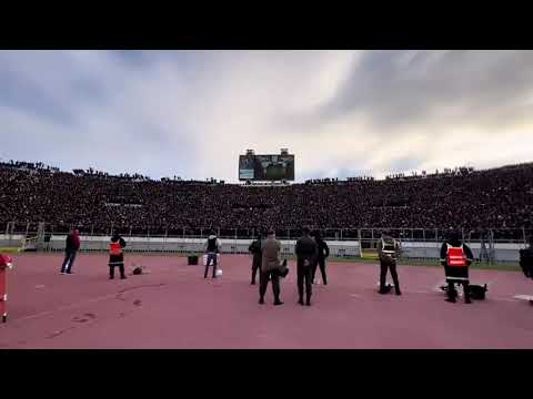 Somos curva sud .. allez allez la vida loca