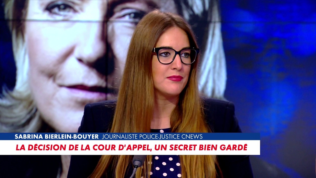 Illustration: L'arrêt qui scelle l'avenir de Marine Le Pen