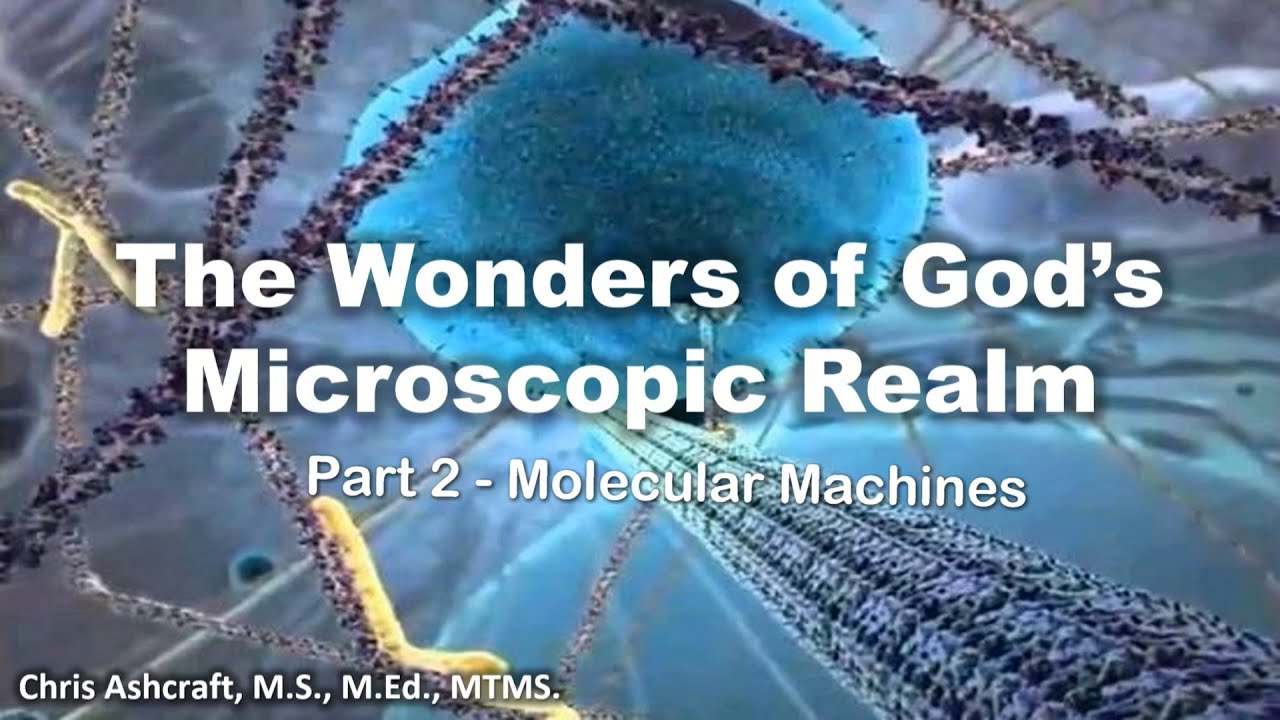 The Wonders of God's Microscopic Realm - Part 2 - Molecular Machines