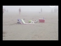 Sneaky Seagull Steals Food From Beach Goers