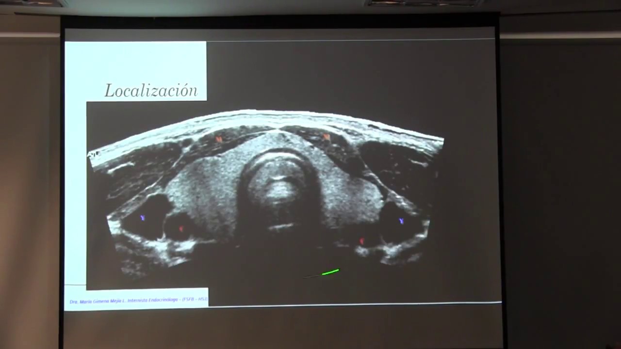 Maria Gimena Mejía López-37