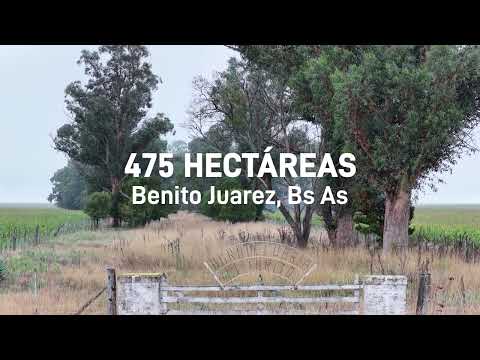 Campo mixto de 475 hectáreas en Benito Juarez, Bs As