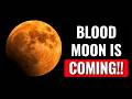 Blood Moon 2026 When And How To See Total Lunar Eclipse On March 2 3