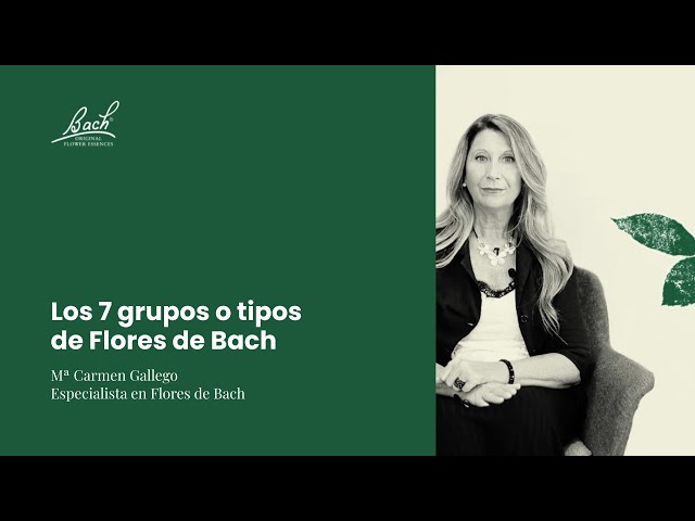 Vídeo relacionado con Bach - Flor de Bach Willow, Complemento Alimenticio, con Extracto de Flores de Sauce, Uva de Alc 27% Vol, Ayuda a Gestionar las Emociones Cuando Se Quiere Ser Más Positivo - 20 ml
