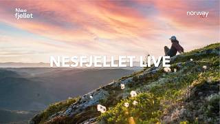 Vestland · Førde · Nesfjellet live stream