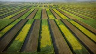 Luz Casal - Se Verá