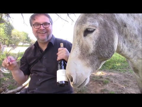 Folge 849 Geschichtsträchtiger Chinon