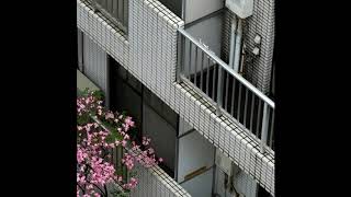 Cover art for digital再燃