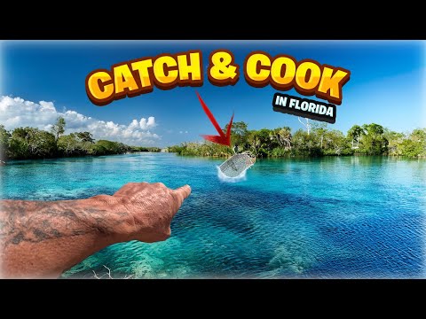 You Won't Believe How EASY it is to Catch Crabs for a BOIL