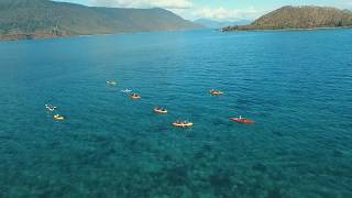 Kayak Turtle Tour from Palm Cove, Australia