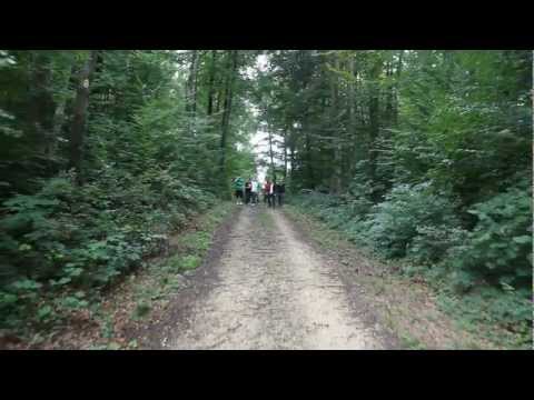 AMOK - SCHMETTERLINGE IM BAUCH