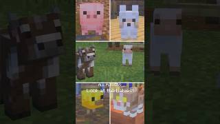 Download lagu BABY MOBS HAVE A NEW LOOK! mp3