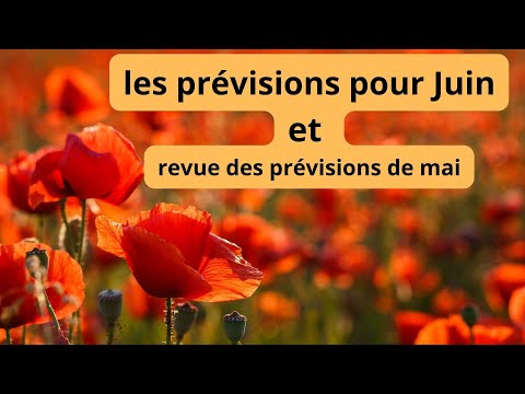 Les prévisions pour juin /revue des prévisions de mai 244 (Franceactus, Divinactus,oracle Madi)????242