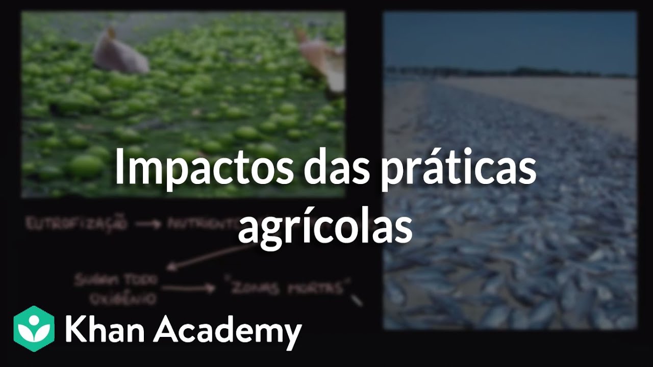 Impactos das práticas agrícolas