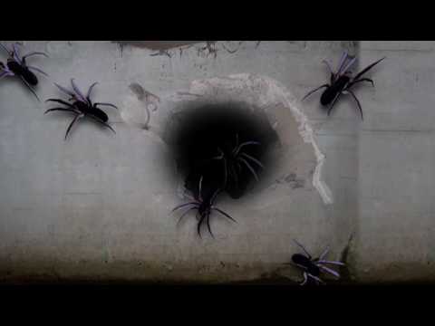GIANT SPIDERS - HOLIDAYPROJECTION.COM