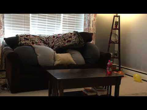 Camouflage Yourself Challenge