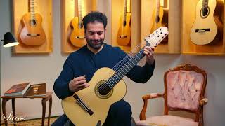 Heikki Rousu - 2026 10-string No. 494 - Video preview