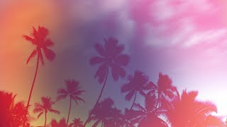 The Midnight - WeMoveForward (Talamanca Remix) [Silk Music]