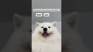 Cover art for for u max