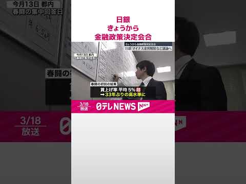 イエロー バンクス ローズ、ローザ バンクシア 'ルテア'