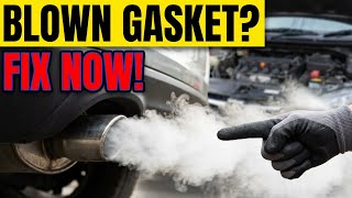 11 Symptoms of a Blown Head Gasket ( FIX Gasket Leak NOW!)